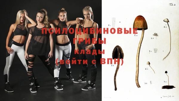 тгк Инта