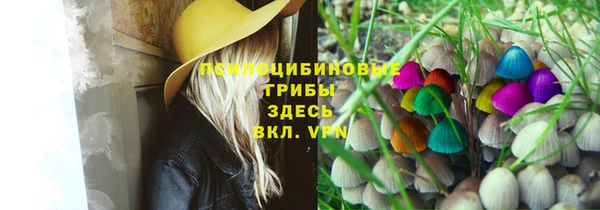 a pvp Инсар