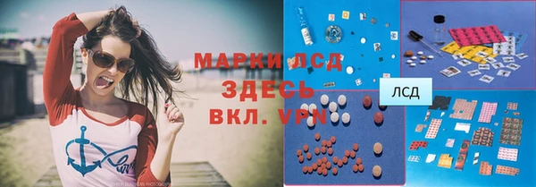 apvp Иннополис