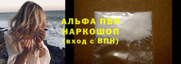 a pvp Инсар