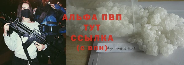 apvp Иннополис