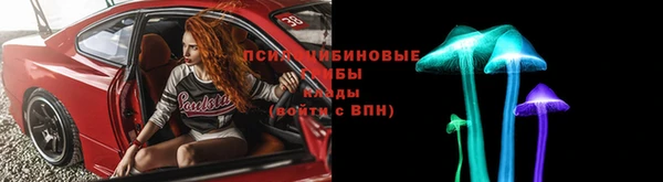 a pvp Инсар