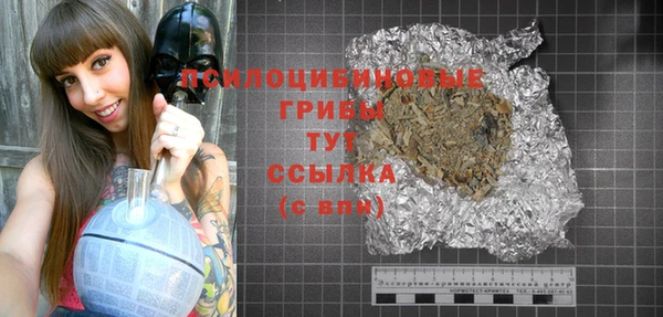 apvp Иннополис