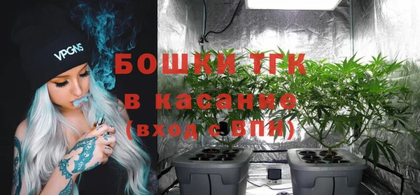apvp Иннополис