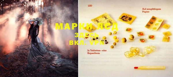 тгк Инта