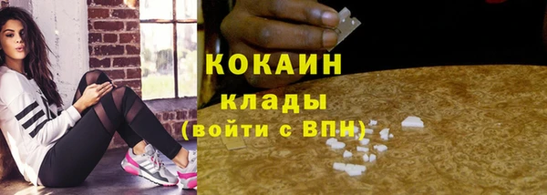 тгк Инта