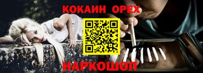 тгк Гусев