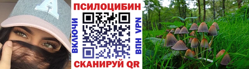 Псилоцибиновые грибы прущие грибы  сколько стоит  OMG зеркало  Калач-на-Дону 