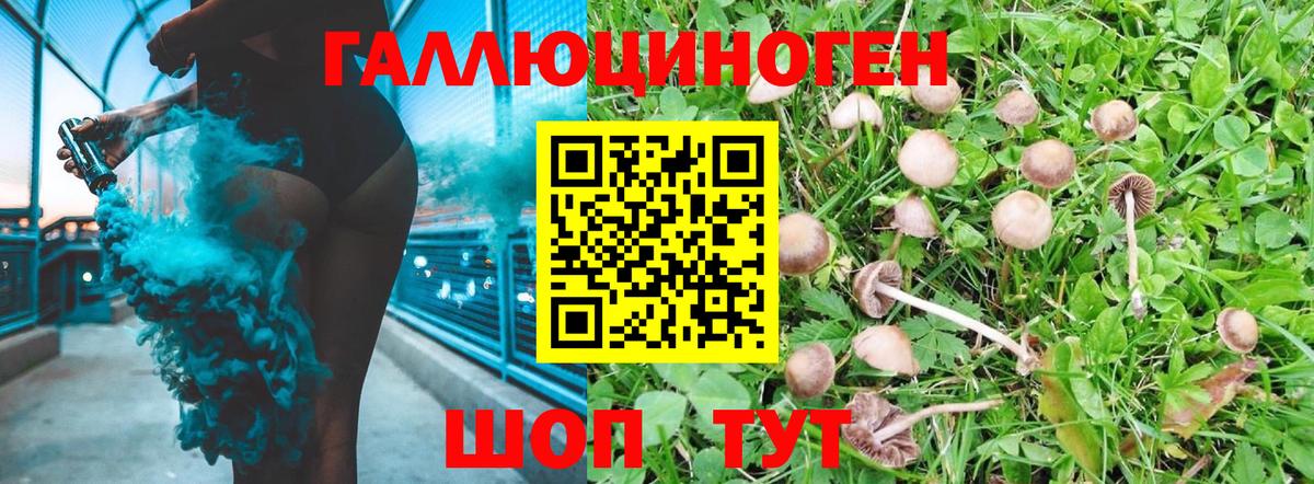 Галлюциногенные грибы Magic Shrooms  Вход с VPN  Калач-на-Дону 