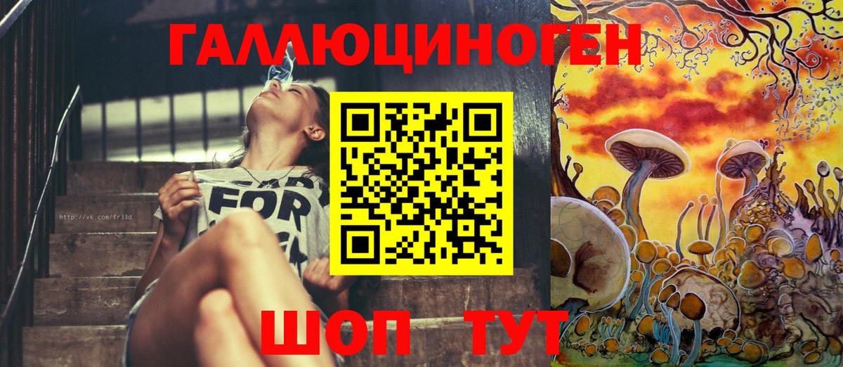 цены наркотик  Калач-на-Дону  Псилоцибиновые грибы прущие грибы  Псилоцибиновые грибы Psilocybe 